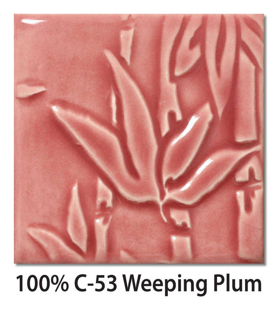 AMACO C-53 Weeping Plum | Ciruelo llorón