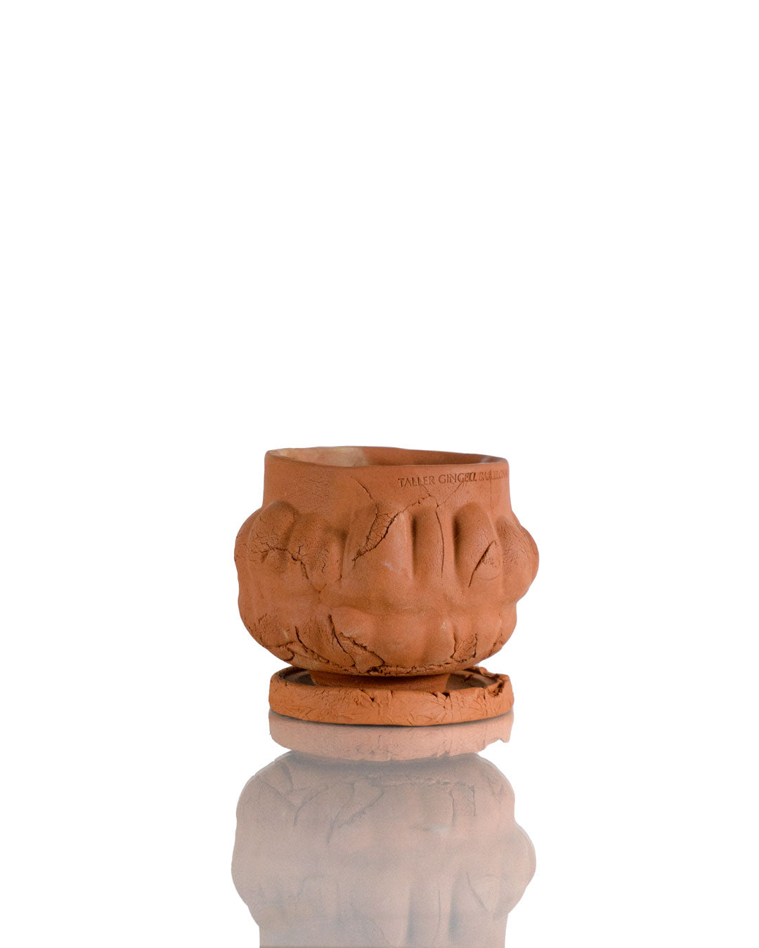 Terracotta Rimmed Planter (13 cm)