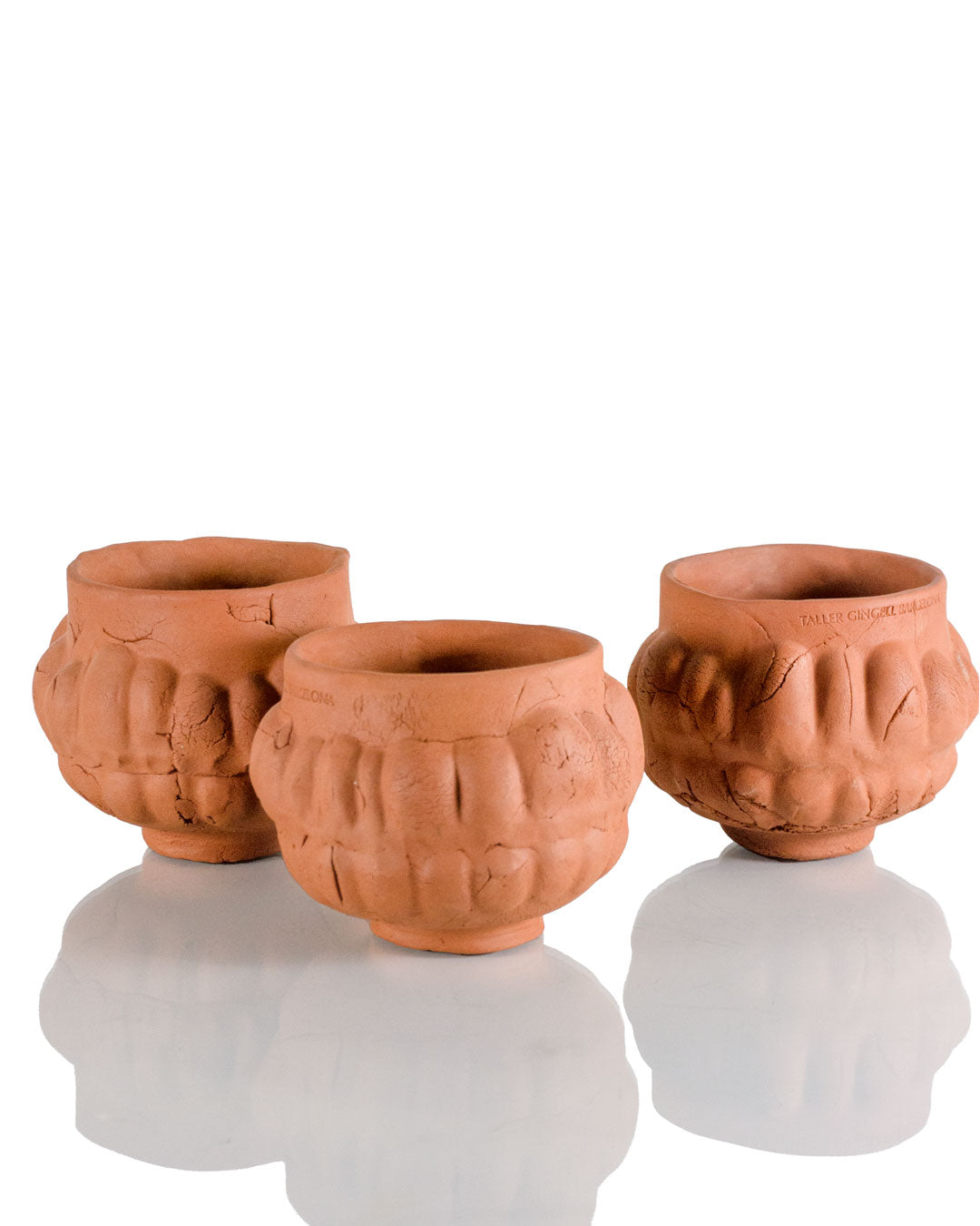 Terracotta Rimmed Planter (13 cm)