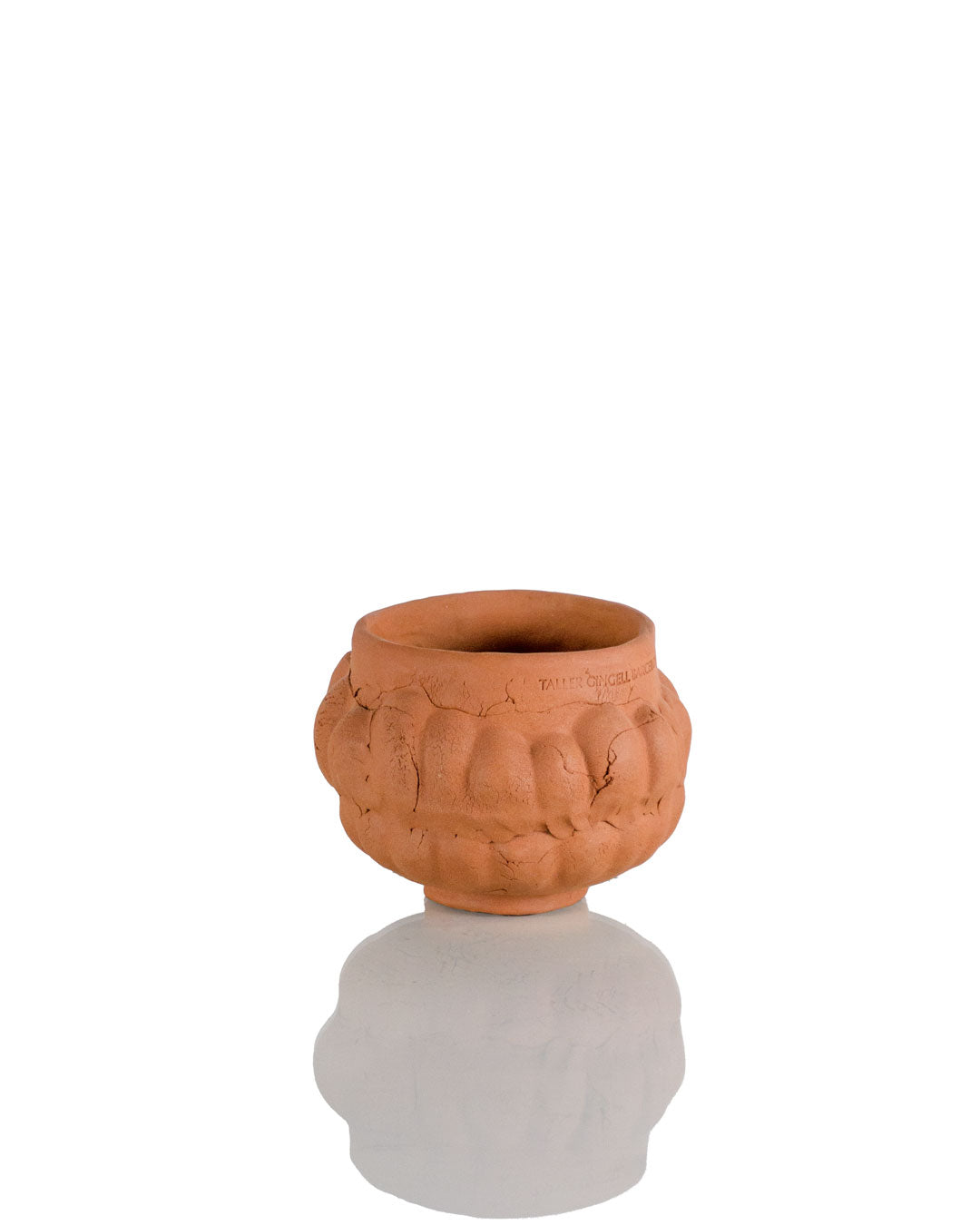 Terracotta Rimmed Planter (13 cm)