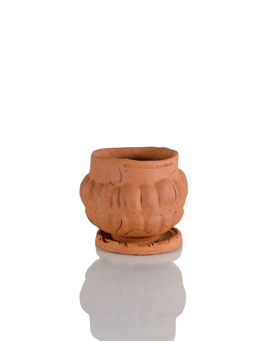 Terracotta Rimmed Planter (13 cm)