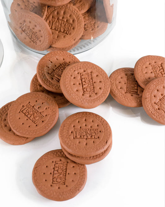 Terracotta Cookie Magnet (Set of 3)